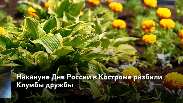 Накануне Дня России в Костроме разбили Клумбы дружбы