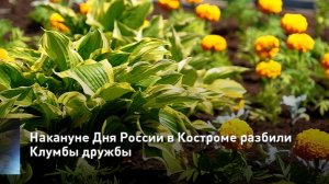 Накануне Дня России в Костроме разбили Клумбы дружбы