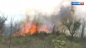 На Ставрополье с начала июня произошло свыше 1200 пожаров
