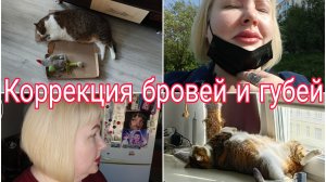 11-06-2026 Перманентному макияжу месяц * Прогулка *  Покупки * Комментарии