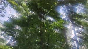 11 июня Магический репортаж от волшебника Ивана Ивановича Кулебякина из Москвы ждите дождь и грозу