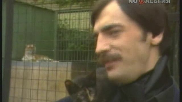 Боярский М. - Дрессировщик смотреть онлайн