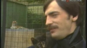 Боярский М. - Дрессировщик