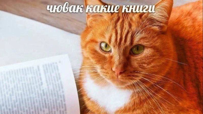 Мемчик(кстати я вернулся) смотреть онлайн