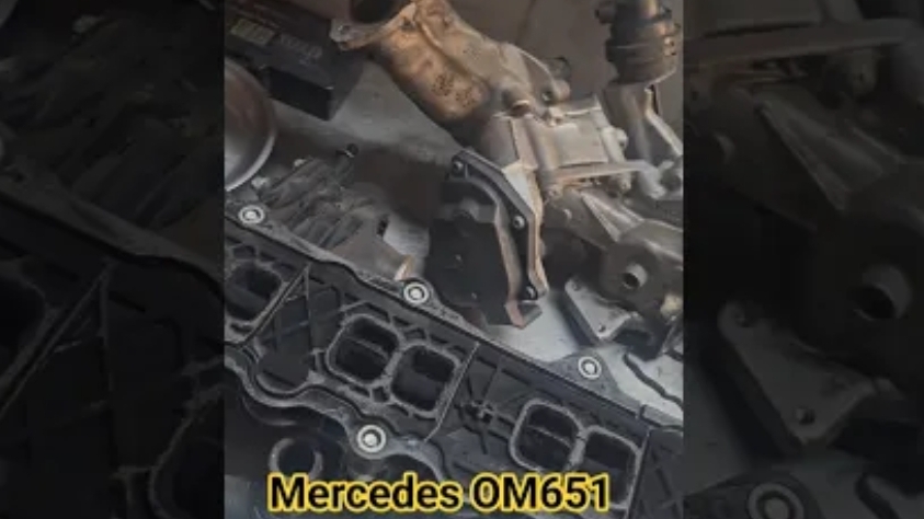 Mercedes Vito OM 651 EGR DPF OF