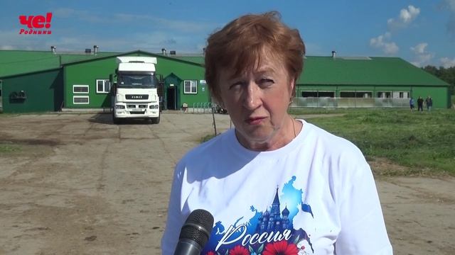 Заря смотреть онлайн