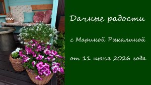 Дачные радости с Мариной Рыкалиной от 11 июня 2026 года