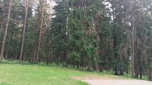 #красота природы