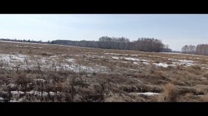 Открыл сезон 2026 / поиск с металлоискателем