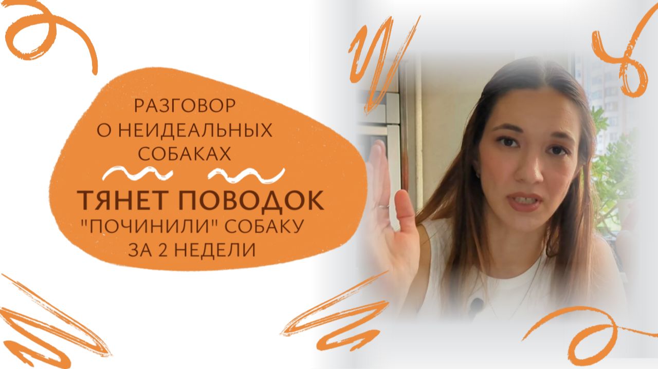 Собака тянет поводок и рвется из лифта? Как менеджмент прогулки спасает от перевозбуждения