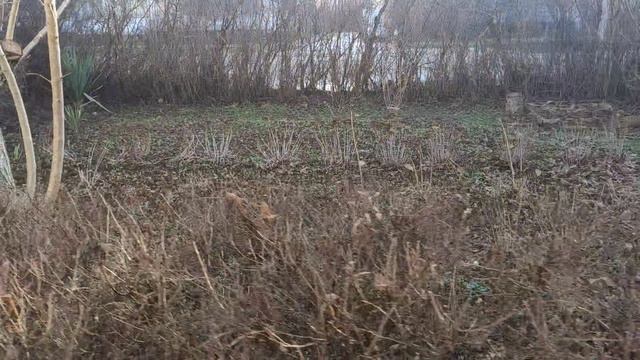 Один из дней города Евпатории | 5 января 2022 г | Крым ХАН БАТОН XAH 6ATOH | VID_20220105_150329