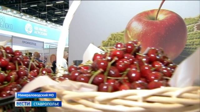 Вести. Ставропольский край» 11.06.2026 (21.40) смотреть онлайн