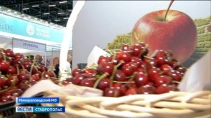 Вести. Ставропольский край» 11.06.2026 (21.40)