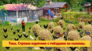 Тхоа. Строим курятник с гнёздами из соломы.