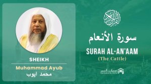 Шейх Мухаммад Аюб | Сура Аль-Ан'ам