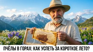 Как готовить пчёл к короткому взятку в горах? Высокогорье: сроки и методы | Профессор Кашковский ⛰️