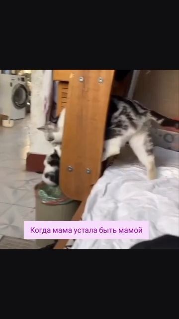 Мать устала быть матерью...