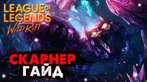 СКАРНЕР ГАЙД WILD RIFT