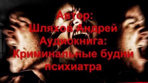 Аудиокнига: Криминальные будни психиатра