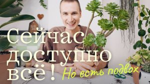 ДОСТУПНО ВСЁ!? О таком ассортименте комнатных растений раньше и не мечтали...
