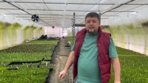 Евгений Олейник - экскурсия по питомнику 7А