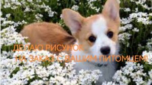ДЕЛАЮ РИСУНОК С ВАШИМ ПИТОМЦЕМ НА ЗАКАЗ!:3