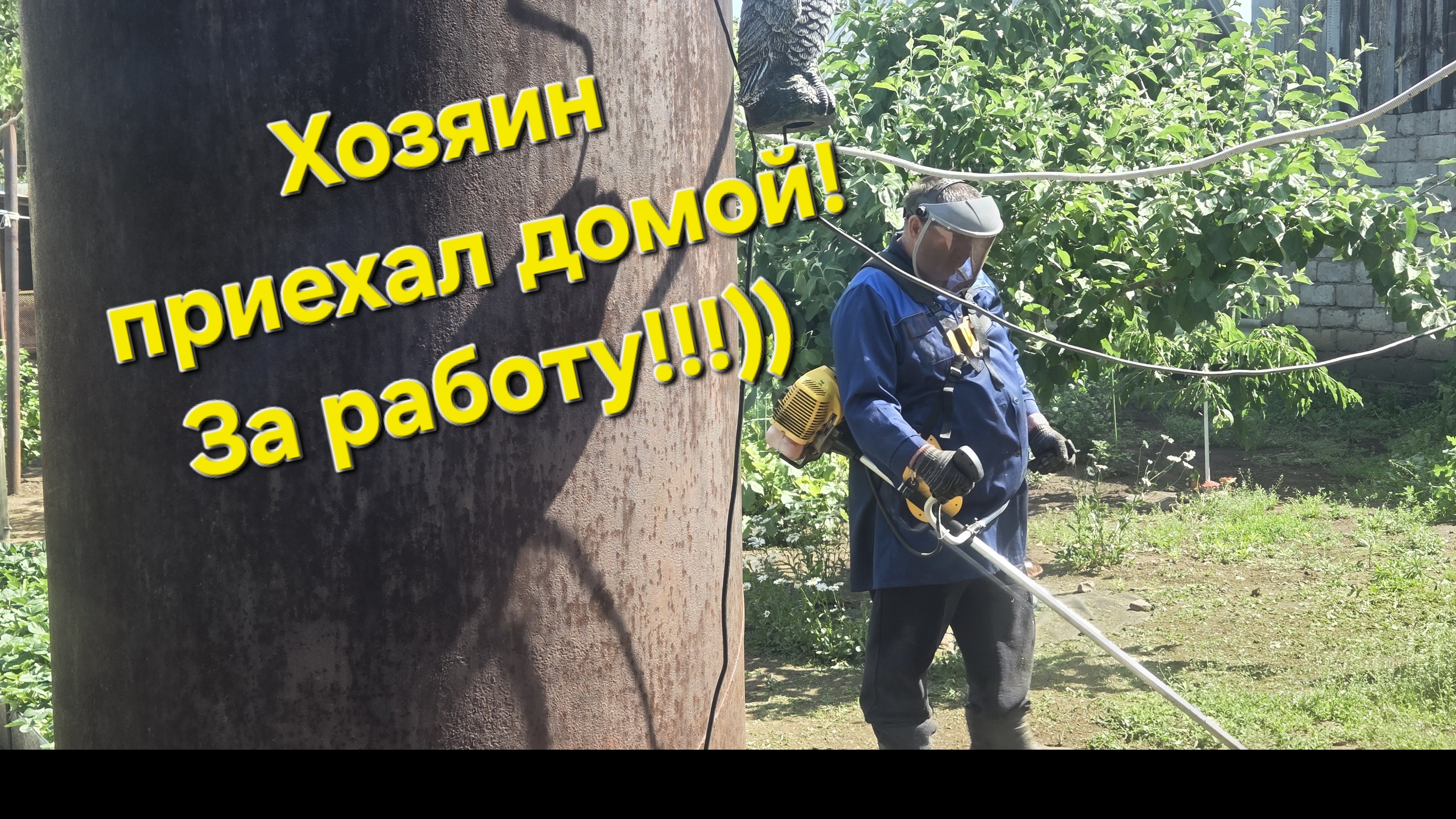 Готовлю редко🥣🍲 Муж дома))Ночная гостья!🐸