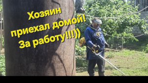 Готовлю редко🥣🍲 Муж дома))Ночная гостья!🐸