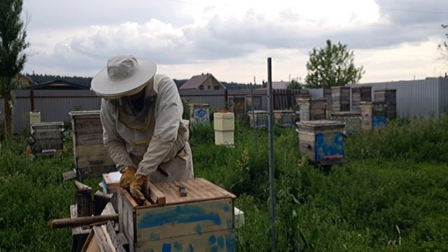 Удивительное разрешение кардебалета с маточниками смотреть онлайн