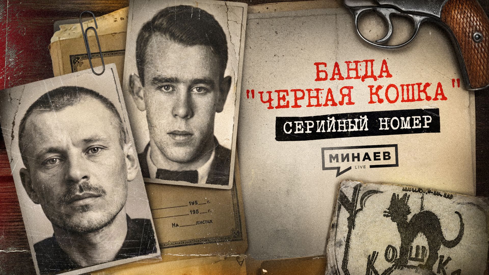 ЧЕРНАЯ КОШКА: реальная история страшной банды / Серийный номер 21 / МИНАЕВ смотреть онлайн
