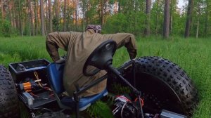 Трава по пояс