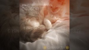 Мне кажется или я чего то от вас не знаю?(внимание⚠расстрел тапками ⚠⚠⚠⚠)