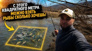 Ловля плотвы весной на поплавок!