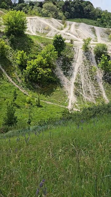 Меловая  гора в селе Шопино, Белгородская область