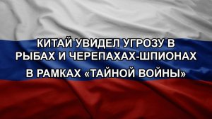Китай увидел угрозу в рыбах и черепахах-шпионах в рамках «тайной войны»