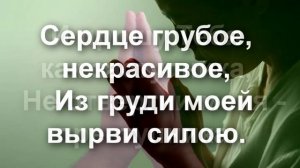 Ты Звезда моя путеводная...