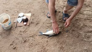 Неудачное откытие