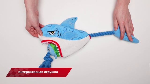 Игрушка_для_собак_GiGwi_Акула_с_рыбой_на_веревке смотреть онлайн