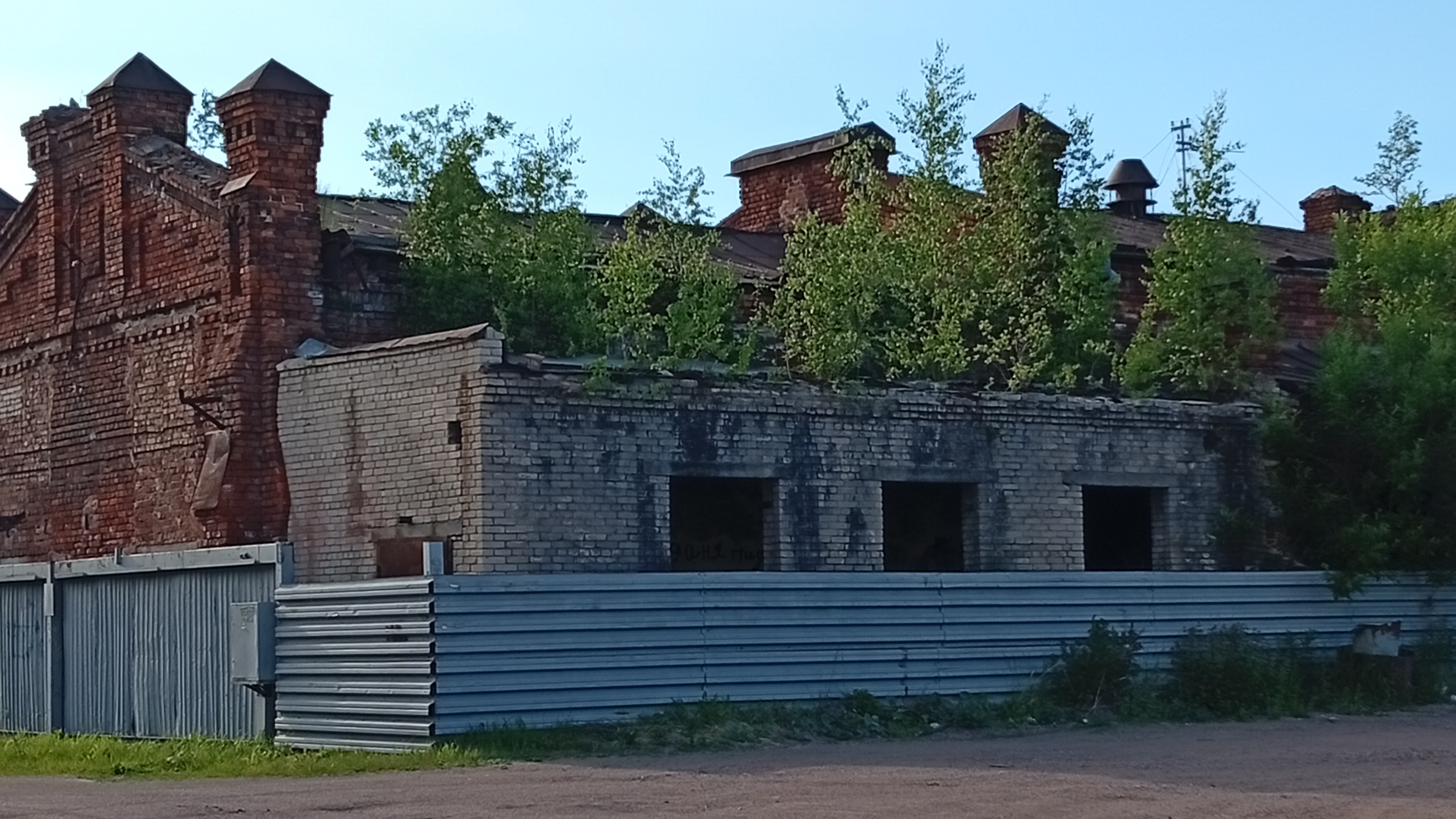 тегинг на люке в Питере смотреть онлайн