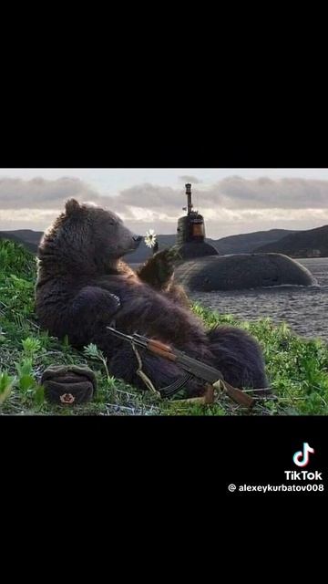 день россии смотреть онлайн
