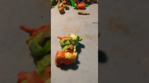 Лечу спрунки лайма
