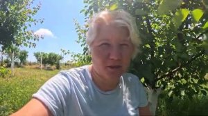 Наталья Губарева. РЕШИЛА ОТВЕТИТЬ..⧸ ЖИЗНЬ В ДЕРЕВНЕ #villagelife