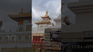 Моя новая песня