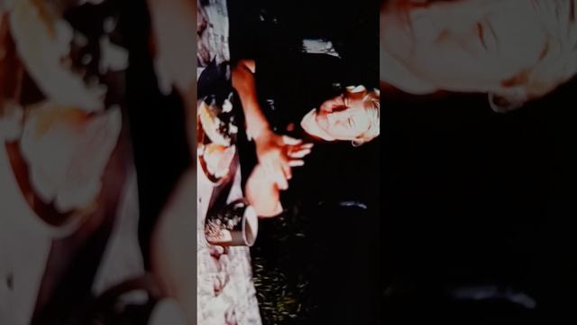 1000031944.mp4 смотреть онлайн