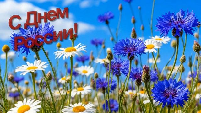 МОЯ РОССИЯ - Жанна Вишнякова Арс