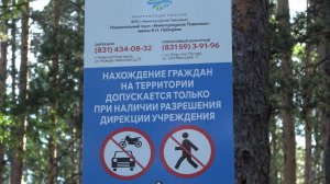 Первый гриб, он же и последний.
