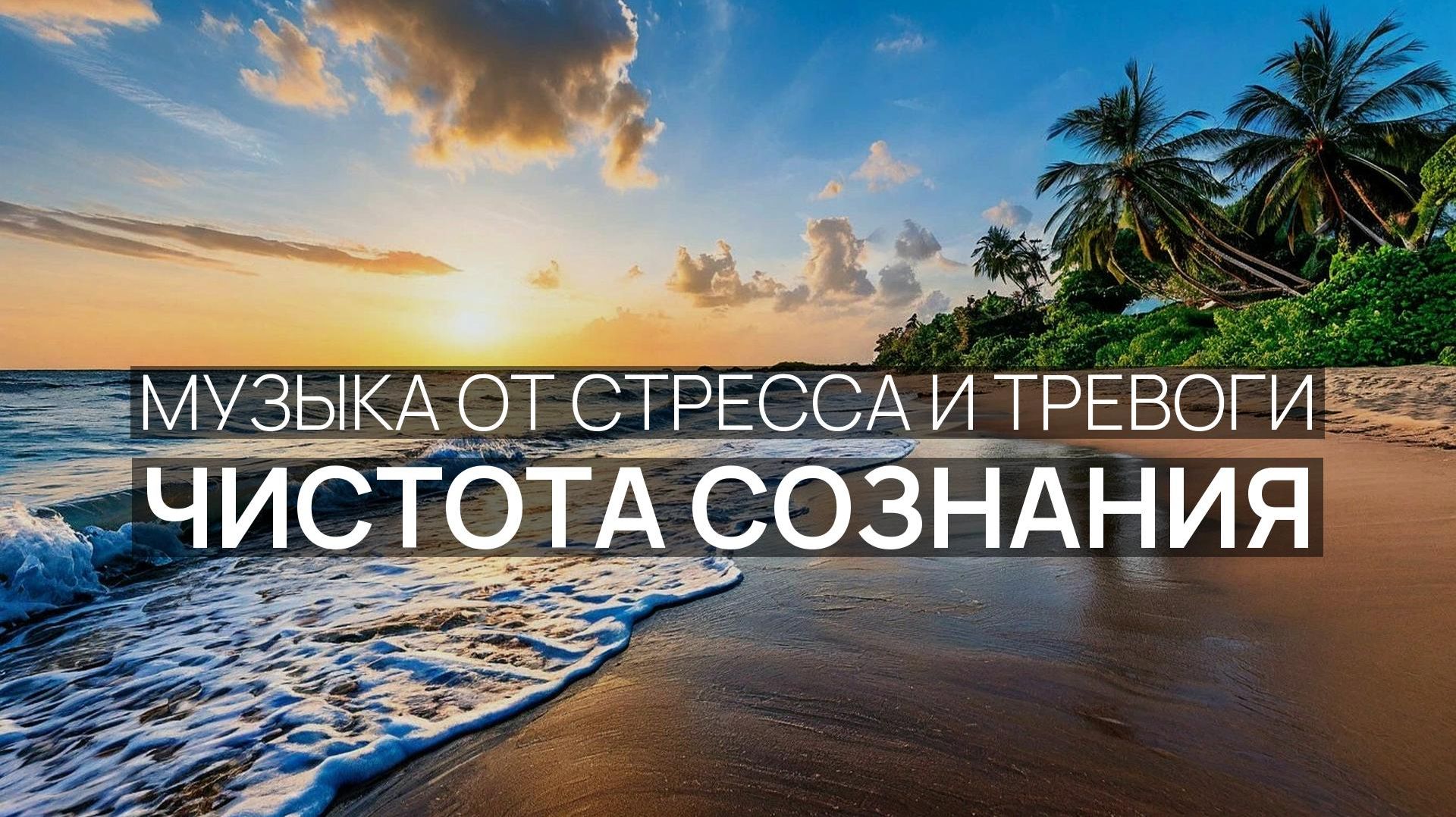 Чистота сознания 🧘 Звуки океана 🌹 Тёплые лучи 🌊