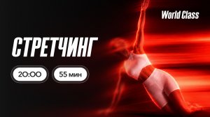 СТРЕТЧИНГ с Еленой Жиляевой | 14 июня 2026 | Онлайн-тренировки World Class