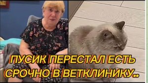 САМВЕЛ АДАМЯН, ПУСИК ПЕРЕСТАЛ ЕСТЬ, СРОЧНО ЕДЕМ В КЛИНИКУ..
