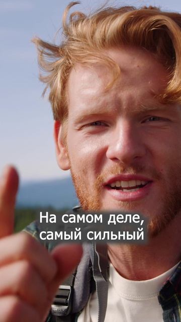 Главный аргумент веры — не доктрины, а твоя жизнь ✨Свидетельство о Нем - урок 12 смотреть онлайн